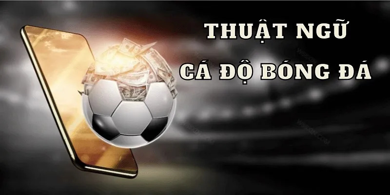 Thuật ngữ trong cá độ bóng đá