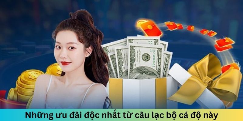 Ưu đãi độc nhất tại ee88