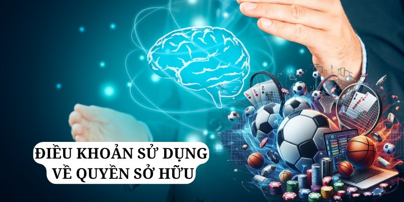 Quyền sở hữu quan trọng trong điều khoản