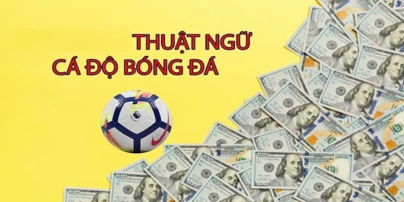 Tầm quan trọng thuật ngữ cá độ bóng đá